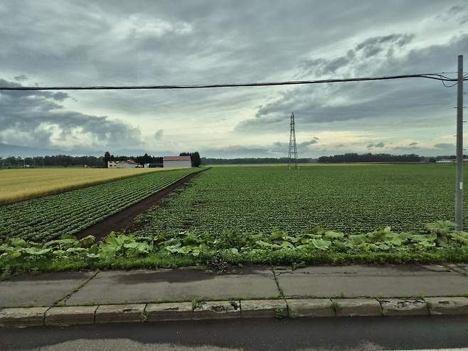 06bcdb27eae639aa658084e54484746a6e773f012cecc83463583e31284e7362dbf047372ed73beb90fca5333a