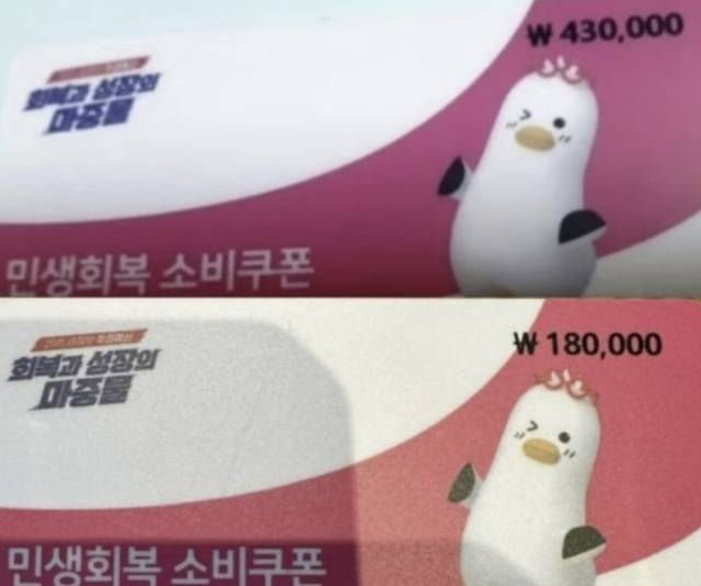 일부 지자체에서 지급 금액이 인쇄된 채 배포된 민생회복 소비쿠폰 선불카드. [디시인사이드 캡처]