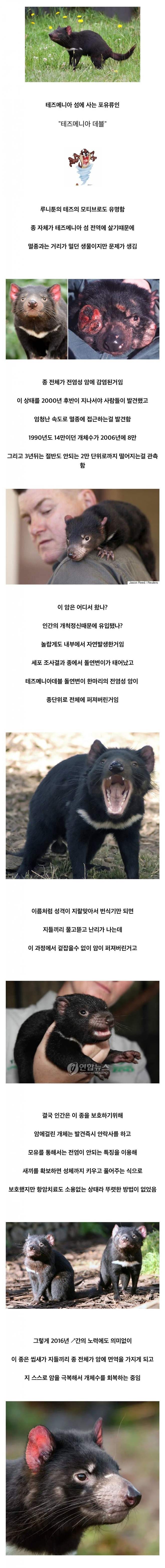 1000021933.jpg 오들오들 멸종 직전까지 몰린 종 하나가 되살아난 방법