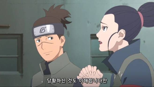 c534e2031ad11663910bd66ed81b0339.jpeg 나뭇잎 마을에서 이루카 센세의 취급.jpg