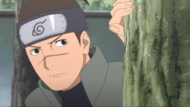 181947e7cc408ed07832d67f2305d5f9.jpeg 나뭇잎 마을에서 이루카 센세의 취급.jpg