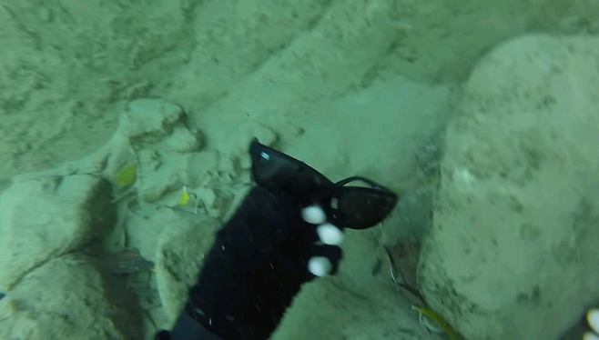 image.png 싱글벙글 방수팩의 중요성.jpg