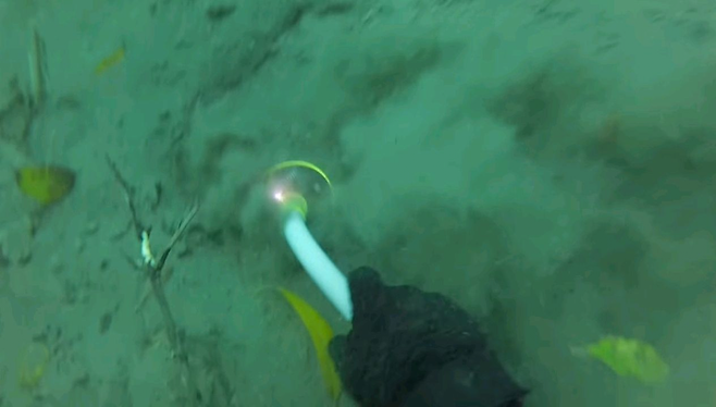 image.png 싱글벙글 방수팩의 중요성.jpg