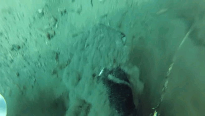 image.png 싱글벙글 방수팩의 중요성.jpg