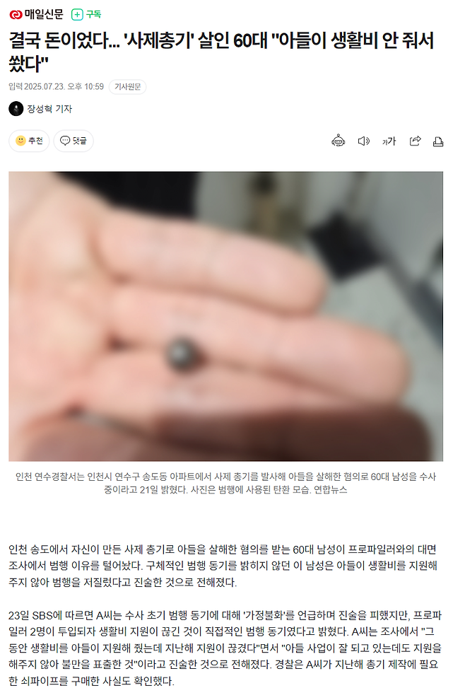 image.png 결국 돈이었다... \'사제총기\' 살인 60대 "아들이 생활비 안 줘서 쐈다"