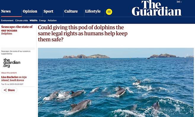 제주 바다에서 헤엄치는 남방큰돌고래 무리. 가디언 누리집 갈무리