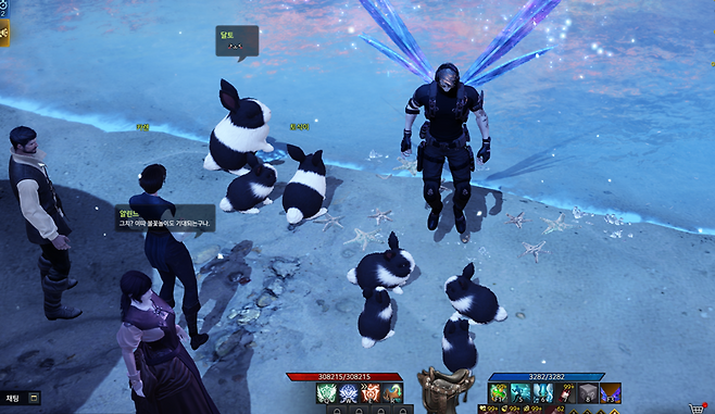 ▲ 달토끼 가족