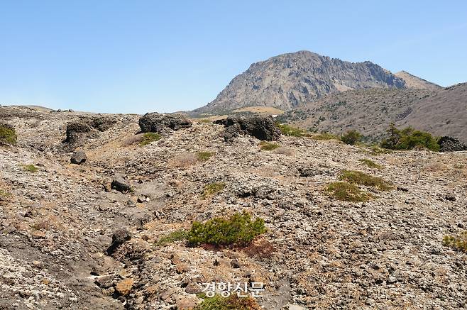한라산 모세왓. 제주도 제공