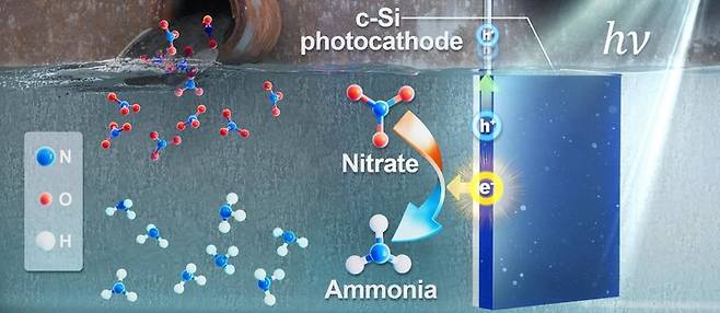 [울산=뉴시스] 구미현 기자 = 폐수 속 질산염을 암모니아로 바꾸는 광전기화학시스템 photo@newsis.com *재판매 및 DB 금지