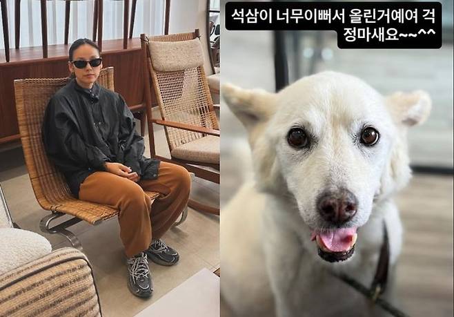 [서울=뉴시스] 가수 이효리가 암 말기 진단을 받은 반려견 석삼이의 근황을 전했다. (사진=이효리 인스타그램 캡처) 2025.07.23. photo@newsis.com *재판매 및 DB 금지