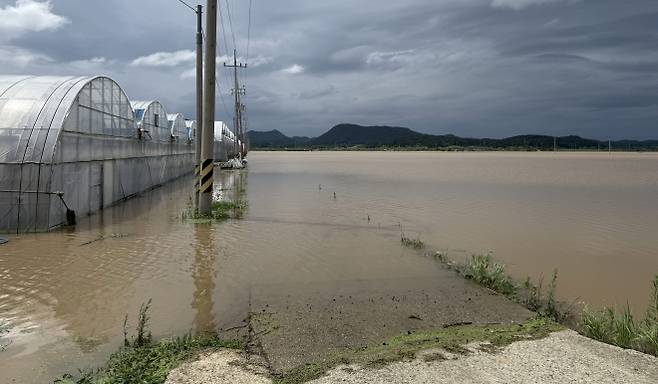 극한 호우로 침수 피해를 입은 나주시 동강면 딸기하우스. 전남도 제공