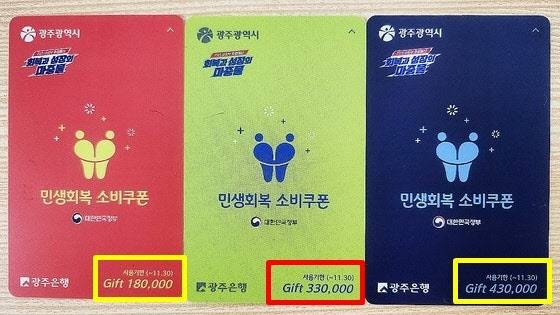 광주시가 지급한 민생회복 소비쿠폰 3종 선불카드. 뉴스1
