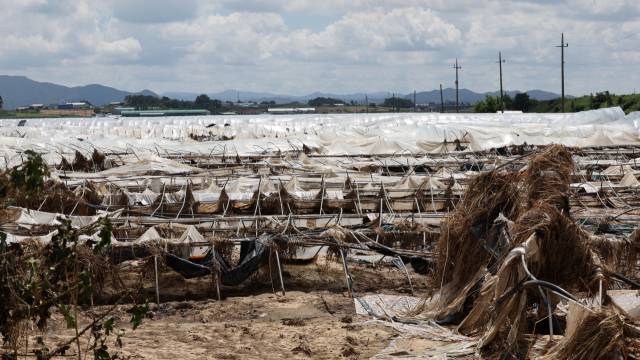 22일 충남 예산군 삽교읍에 있는 비닐하우스가 집중호우 피해로 무너져 있다. 연합뉴스