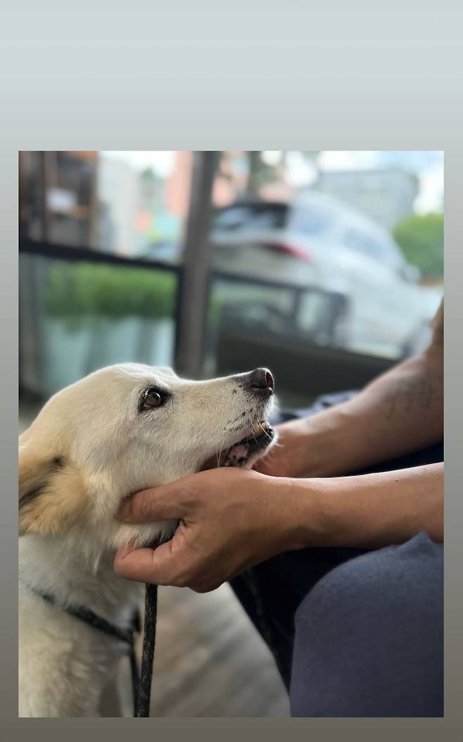 이효리 인스타그램 캡처.