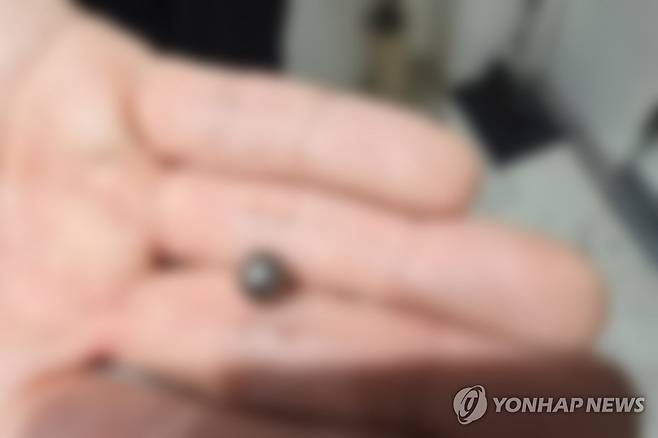 인천 사제총기 살해 사건에 쓰인 탄환 [인천경찰청 제공. 재판매 및 DB 금지]