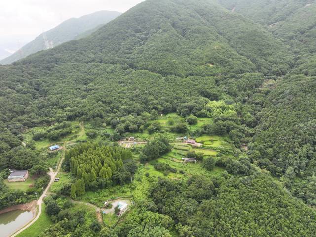 창녕용흥사지전경