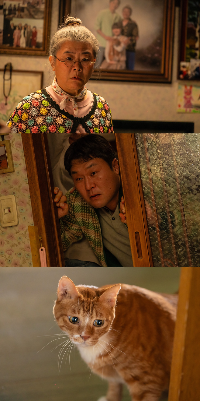 영화 ‘좀비딸’ 리뷰. 사진| NEW