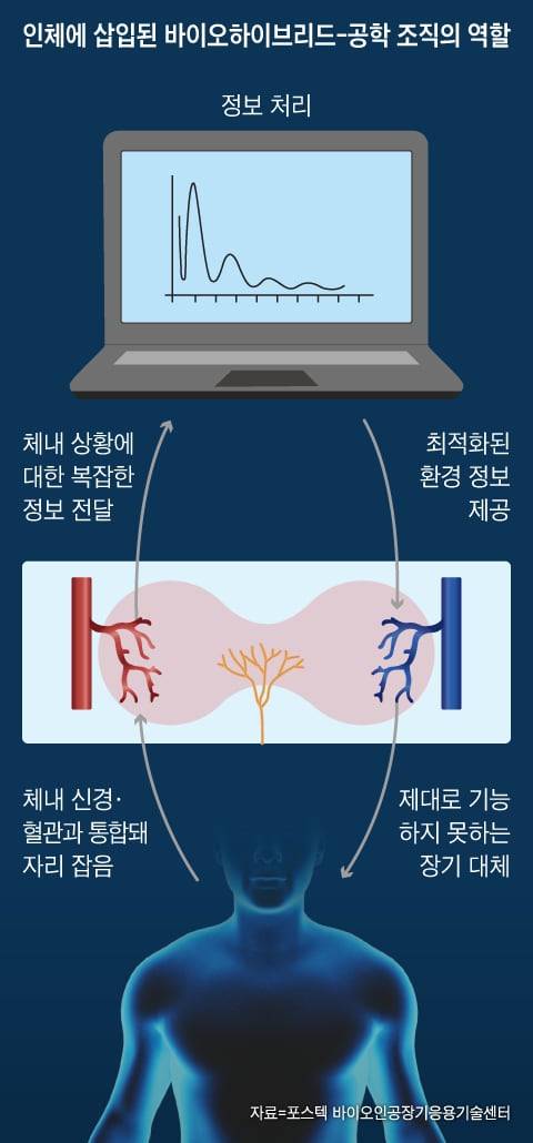 그래픽=이진영