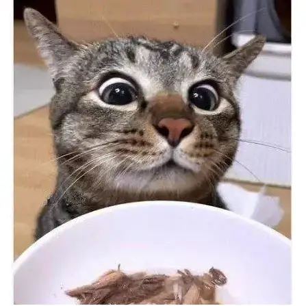 2eb9d525b2d43ef137ebd4b414847c3f0cf1f2d18b57055b1403740cbdb3e420ca107c31c751c066a81d530d90cca95dc5