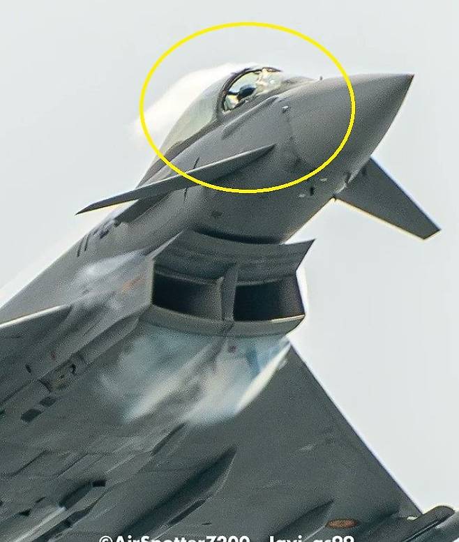 갈매기와 부딪혀 조종석 유리창이 파괴된 스페인 공군 소속 유로파이터 타이푼(Eurofighter typhoon) 전투기. 하이베르 알론소 데 메디아 살게로 SNS
