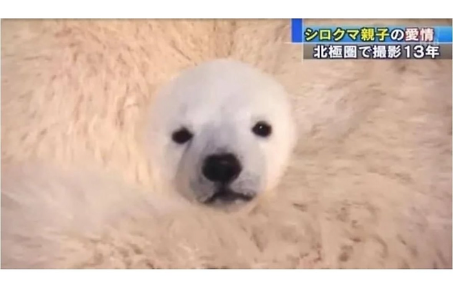 image.png 합성 같은데 합성이 아니라는 사진....JPG