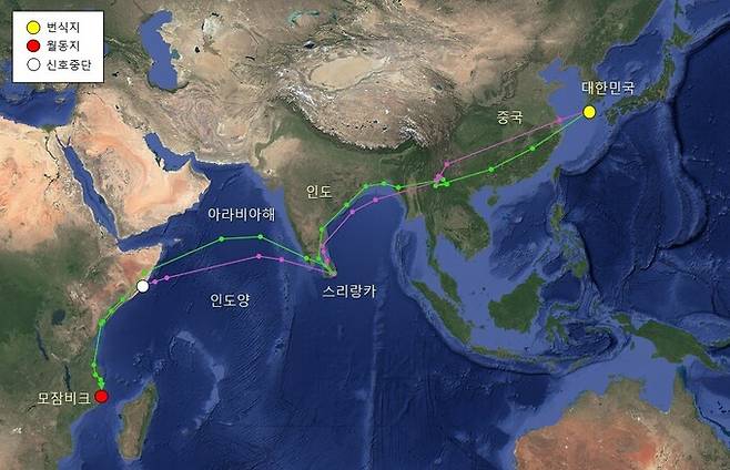 두견이 두 마리에게 위치추적 발신기를 부착한 결과, 두 마리는 지난 8월에 제주에서 출발해 12월 하순 아프리카 모잠비크에 도착했다. 국립생물자원관 제공