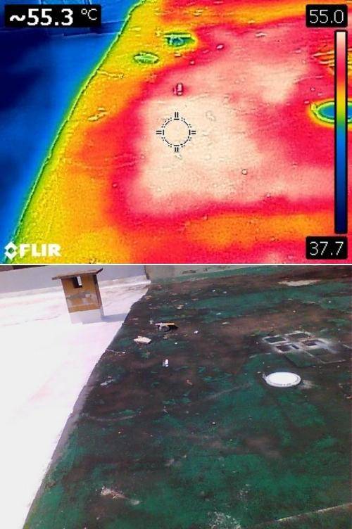 지난 8일 서울 영등포구 문래동의 건물에서 측정한 녹색 옥상 면의 온도가 55.3도로 뜨겁다. 홍인택 기자