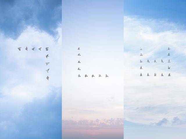 문선희 작가가 날아오르는 비둘기이 모습을 한글 자음으로 배열해 만든 작품. 문선희 작가 제공