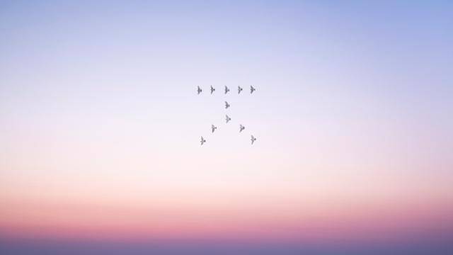 날아 오르는 비둘기의 모습을 ㅈ 형태로 배열한 작품. 문선희 작가 제공