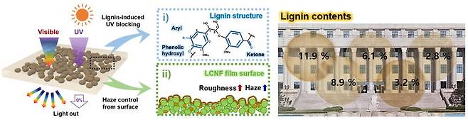 사진은 리그노셀룰로오스 나노섬유 필름의 광 관리 메커니즘 모식도. (사진=경희대 제공) *재판매 및 DB 금지