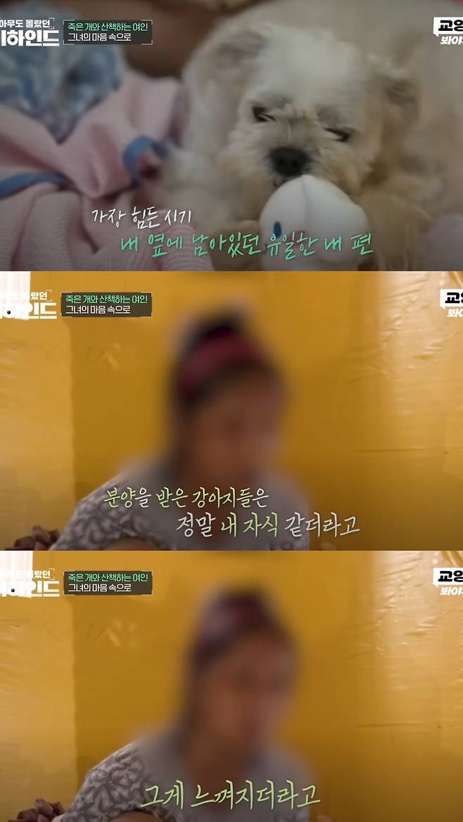 죽은 반려견을 품에 안고 매일 산책을 하는 여성의 사연이 공개됐다. 유튜브 채널 '교양 Voyage' 영상 캡처