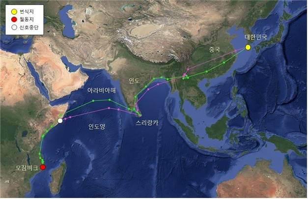 작년 8월 하순부터 12월 하순까지 아프리카로 향하는 두견이 경로. [국립생물자원관 제공. 재판매 및 DB 금지]