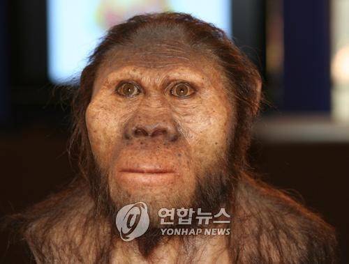 200만년 전에 살았던 원시인류를 재현한 모습  [연합뉴스 자료사진]