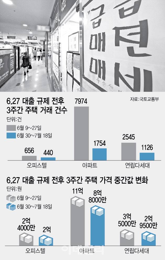 [이데일리 이미나 기자]