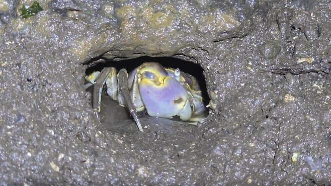 3fb8c32fffd711ab6fb8d38a4783766d70cd03dfef25f9b2be1ab5938e7ae4bbfc316e7be553f22a7ed55a8661