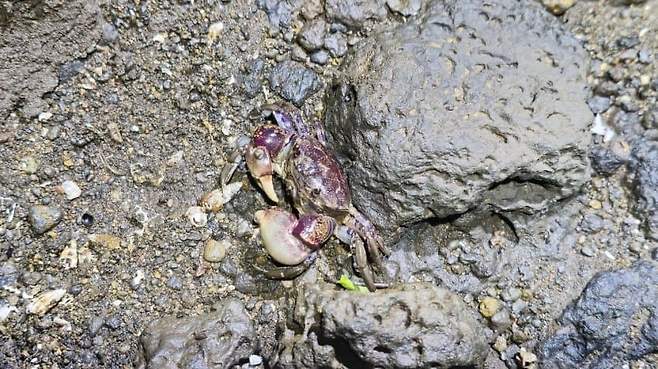 3fb8c32fffd711ab6fb8d38a4483766d360f9b7777ab1bea6e84cfce47f3608f29f3ce135bd00271116f5e29d3