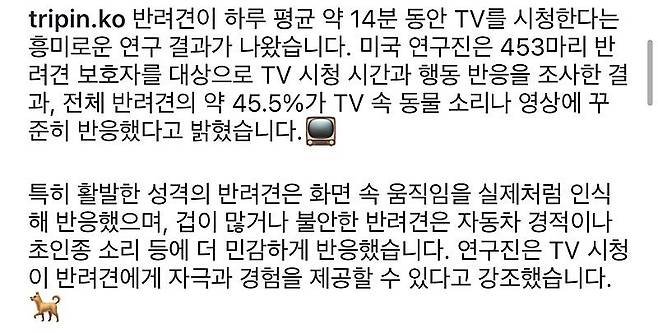 반려견, 하루 14분 TV 시청한다.