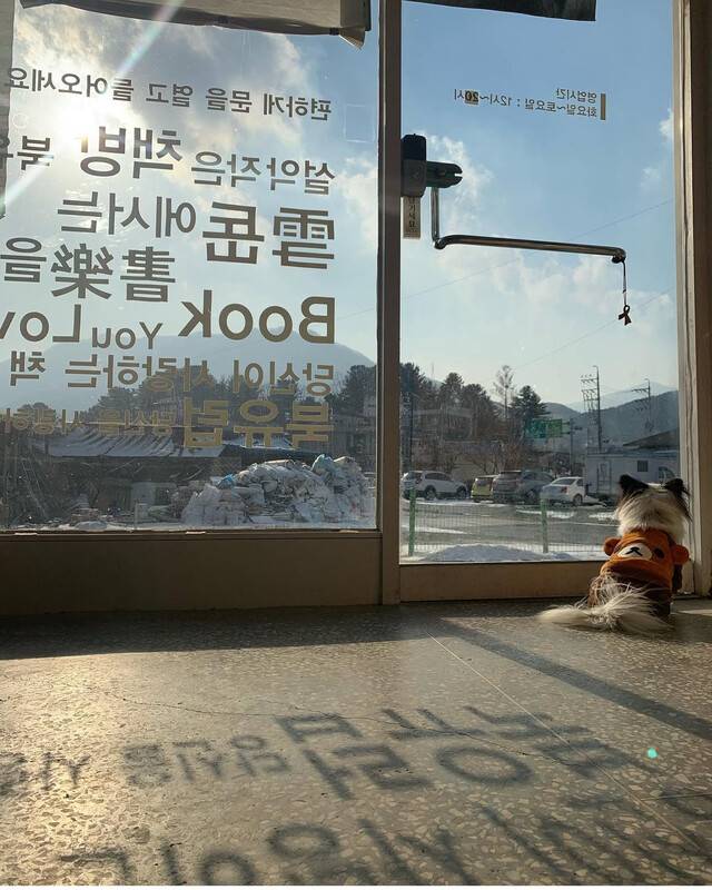 경기 가평군 설악면에 위치한 ‘북유럽 책방’. 책방지기는 반려견을 환영한다.