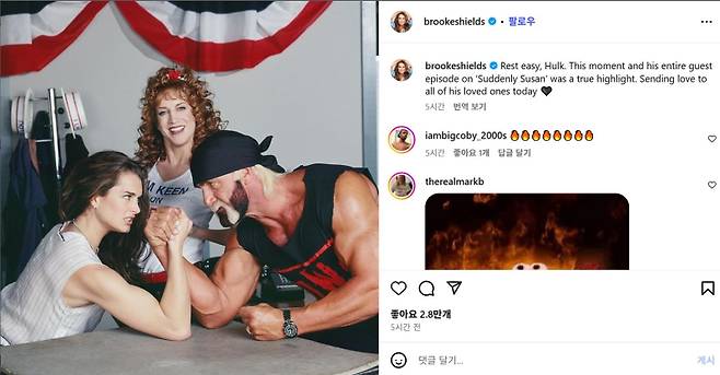 할리우드 스타 브룩 실즈가 SNS에 헐크 호건 추모 메시지를 올렸다. 브룩 실즈 SNS 캡처