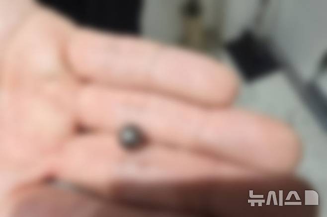 [인천=뉴시스] 지난 20일 오후 인천 연수구 송도동의 한 아파트에서 60대 아버지가 아들을 향해 발사한 사제총기에 사용된 산탄. (사진=인천경찰청 제공) 2025.07.21. photo@newsis.com