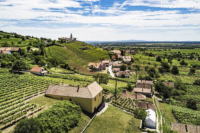 칸첼라 브리톡(Kancellár Birtok) 와이너리 전경. 홈페이지