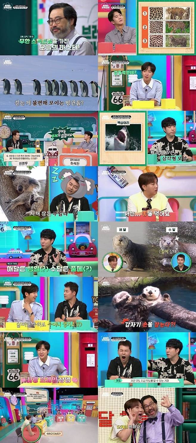 ‘브레인 아카데미’에서 황제성을 비롯한 브레인즈 멤버들이 동물 분야 퀴즈를 완벽히 풀어내며 지식 메달을 획득했다. 황제성은 대표로 ‘오케이’ 세리머니를 펼치며 인간의 위대함을 상징적으로 표현했다. 사진제공|채널A