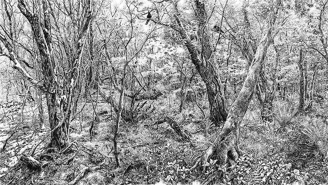 김영화,&nbsp; &nbsp;그 겨울로부터.&nbsp; &nbsp;2024,&nbsp; &nbsp;종이에 펜,&nbsp; &nbsp;112x.270cm, 4폭 / 사진=제주갤러리