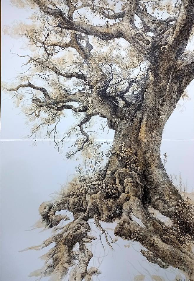 김영화,&nbsp; &nbsp;맥박(잃어버린 마을 너산밧 폭낭),&nbsp; &nbsp;2023,&nbsp; &nbsp;종이에 펜,&nbsp; &nbsp;200x137cm / 사진=제주갤러리