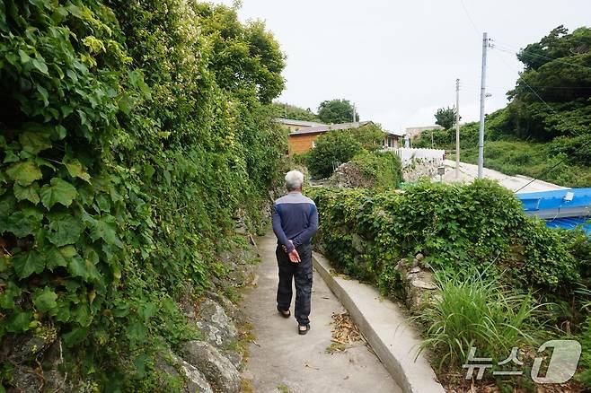 헬기장으로 이어지는 마을 뒷길. 2025.7.25/뉴스1 ⓒ News1 조영석 기자
