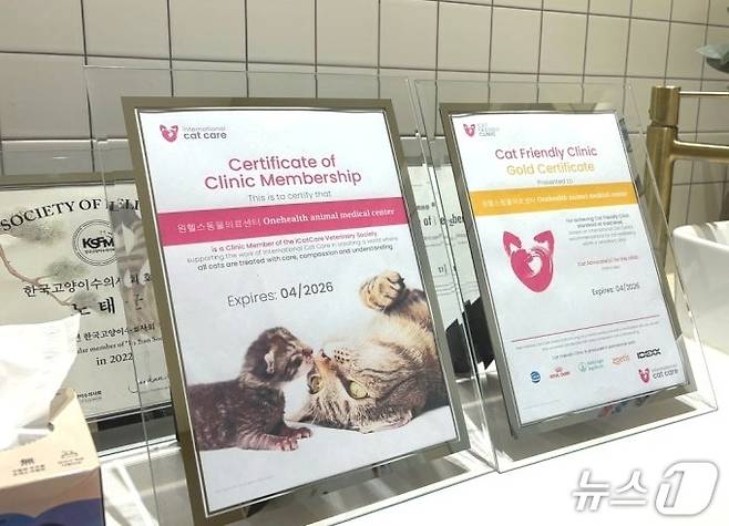 원헬스동물의료센터가 국제고양이의학협회(ISFM) 고양이 친화 동물병원 골드 레벨 인증을 획득했다(동물병원 제공). ⓒ 뉴스1