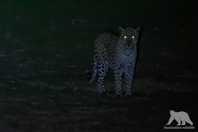 2.png 조선시대 산중살이가 빡센 이유.jpg