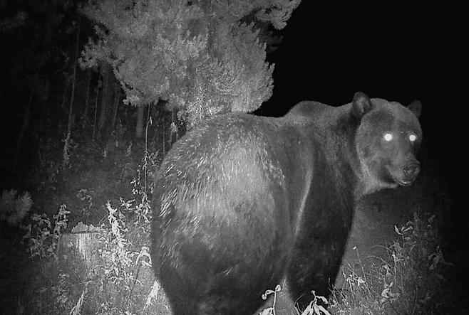 9.png 조선시대 산중살이가 빡센 이유.jpg