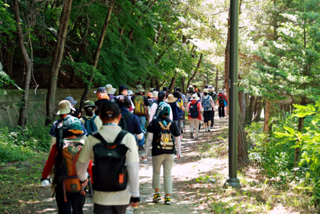 ▲ 강원관광재단이 주관한 ‘운탄고도1330 테마 트레일 페스티벌’이 26일 태백에서 열려 500여명의 참가자들은 알리소(옛 소원지캠핑장)를 출발해 태백체험공원·지지리골을 거쳐 자작나무숲으로 이어지는 ‘운탄고도 6길’을 걷고, 한강·낙동강 발원지 축제와 황지시장·관광지 등 연계 코스를 방문해 프로그램을 즐겼다.