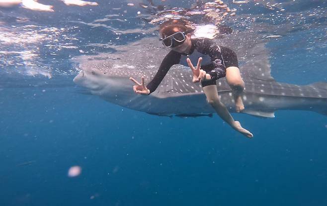 필리핀 세부 오슬롭 고래상어 밍글링 투어.